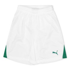 Puma (F3) Fb Team Shorts With Brief Juniors White
