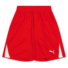 Puma (3) Fb Team Shorts With Brief Juniors Red