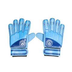 Team Team Delta GK Gloves Manchester City