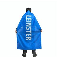 Official Flag Cape Leinster