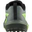 Salomon Sense Ride 5 Men's Trail Running Shoes Black/Green