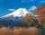 Puzzle Fuji