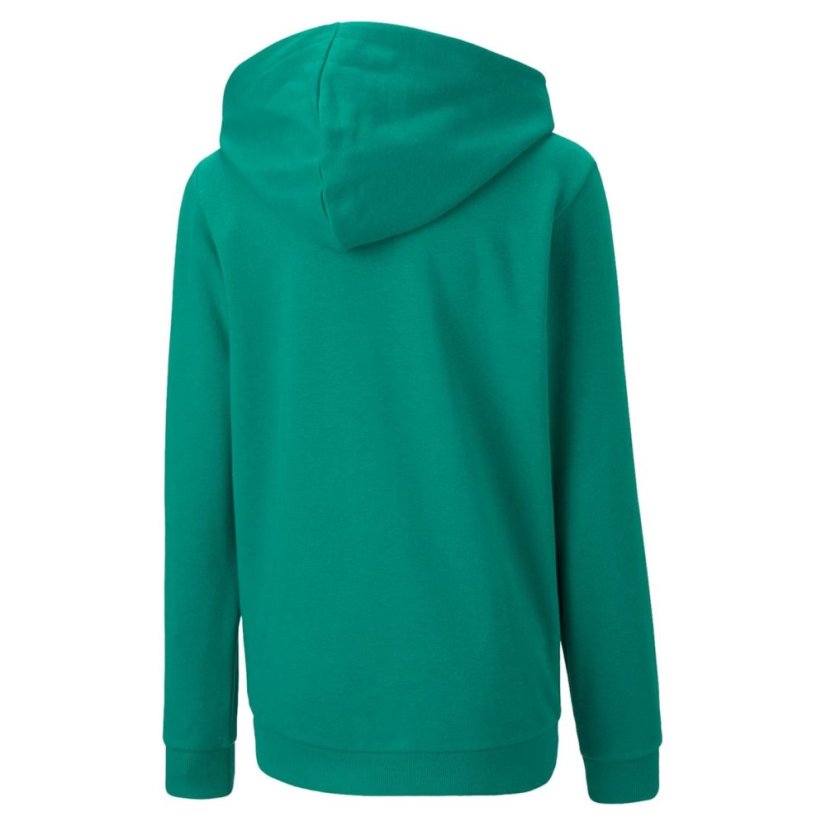 Puma TeamGOAL 23 Casuals Hooded Jacket Green
