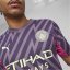 Puma Manchester City Goalkeeper Shirt 2023 2024 Adults Purple