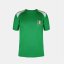 FIFA Kids International Licensed Short Sleeve T-Shirt Green