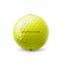 Titleist Pro V1x Golf Balls (12-ball pack) 2022 Yellow