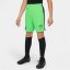 Nike Academy Player Edition:CR7 Big Kids' Dri-FIT Shorts White/Green