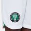 Nike Nigeria Home Match Shorts 2022 Juniors White/Pine Grn