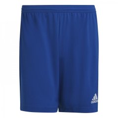 adidas Entrada 22 pánské šortky Royal