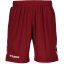 Hummel Poly Shorts 99 Mroon/Arg Blu