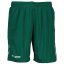 Hummel Unisex Kids' Football Shorts Evergreen