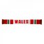 Team Scarf Wales