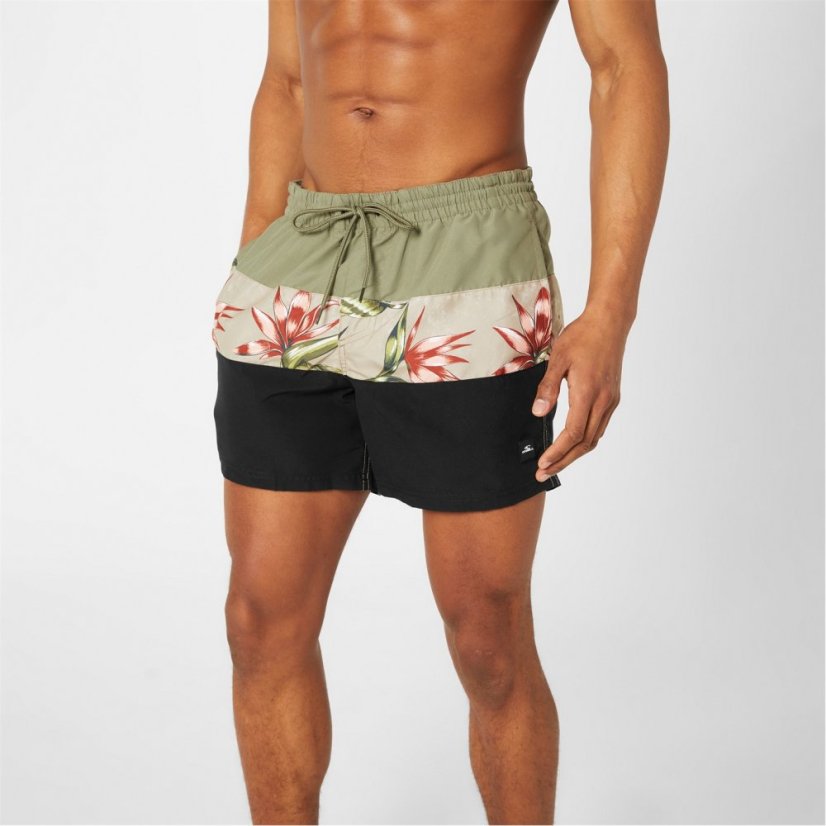 ONeill Frame Block Swim Shorts Green Multi