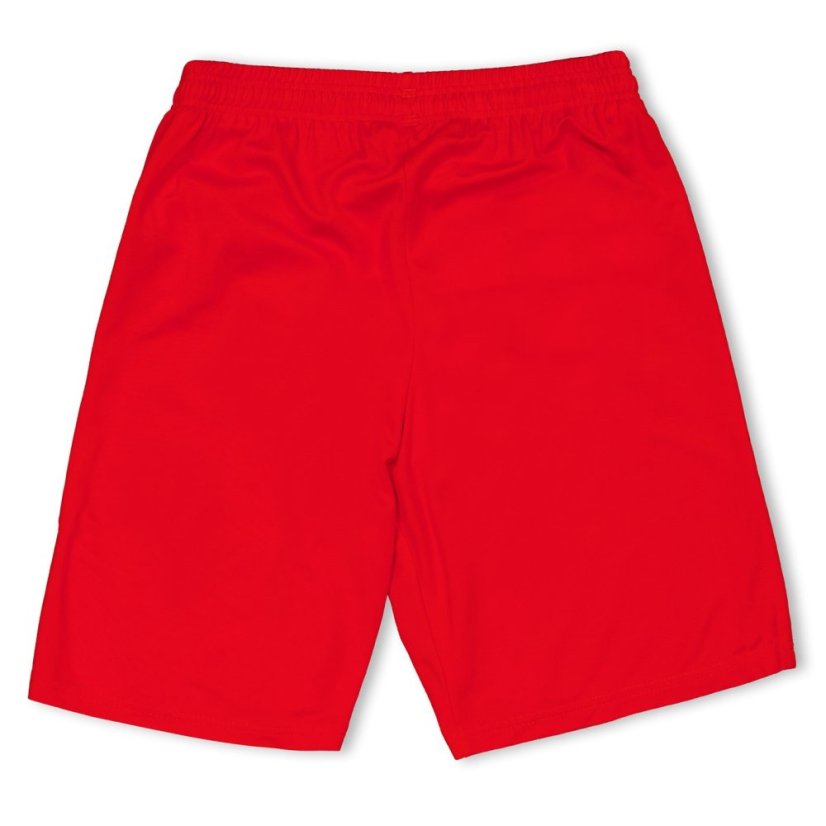 Puma (F3) Fb Team Shorts With Brief Juniors Red