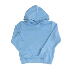 Puma Fanwear Hoodie Blue