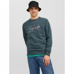 Jack and Jones Prntd Sweat Sn99 Magical Forest