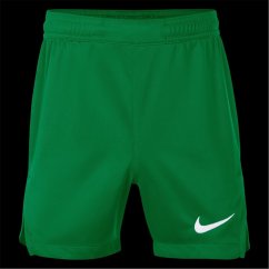 Nike Unisex Kids' Performance Gym Shorts Pine Green
