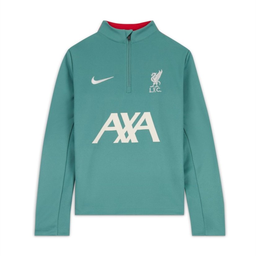 Nike Liverpool Strike Drill Top 2024 2025 Adults Green