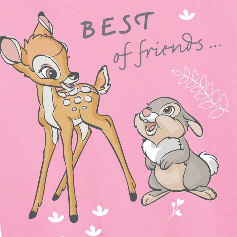 Disney 2 Pack T-Shirts Bambi & Friends