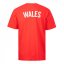 Team Fan pánske tričko Wales