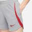 Nike FC Strike Women's Nike Dri-FIT Knit Soccer Shorts Grey/Red