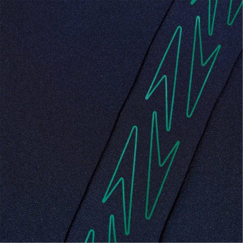 Speedo Men's Spl Jam Am Swim Shorts Navy/Green