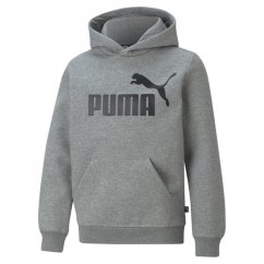 Puma No1 OTH Hoodie Junior Boys Grey