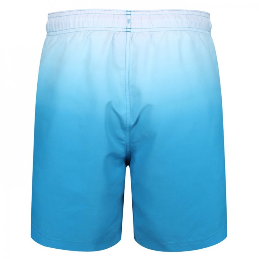 Ript Dip Dye Swim Shorts Mens Blue Dip Dye