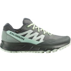 Salomon Outpath GTX Womens Hiking Shoe Sedona Sage