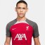 Nike Dri-FIT Liverpool Strike Short Sleeve Top 2023 2024 Mens Red