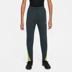 Nike Academy Winter Warrior Pant Seaweed/Lime
