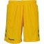 Hummel Unisex Kids' Football Shorts Sports Yellow