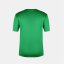 FIFA Kids Short Sleeve International Licensed T-Shirt Green