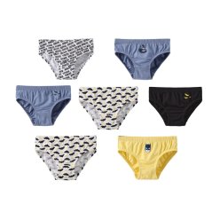 Character Boy's 7pk Briefs Batman