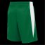 Nike Unisex Kids' Basketball Shorts Pine Green/Wht
