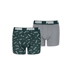 Puma Puma Boys Script Prn Jn99 Green/Grey