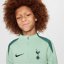 Nike Tottenham Hotspur Strike Third Drill Top 2024 2025 Juniors Green