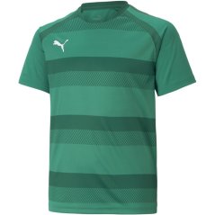Puma Puma Teamvision Jersey Jr T-Shirt Unisex Kids PGrn-PGrn-Wht