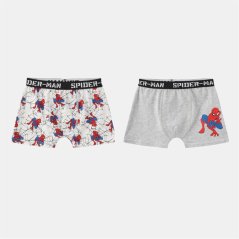 Character Boxer Briefs for Boys Spiderman