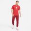 Nike Liverpool Crest T-shirt Adults Red