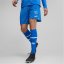 Puma Switzerland Shorts Replica Adults Electric Blue