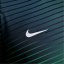 Nike Nigeria Academy Pro Home Pre Match 2024 Shirt Adults Grey