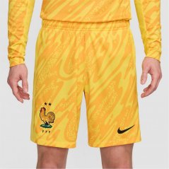 Nike France Goalkeeper Shorts 2024 Adults Tour Yellow