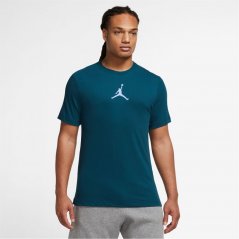 Air Jordan Jumpman Men's Short-Sleeve Crew T Shirt Blue/Royal