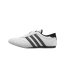 adidas Taekwondo Mens Trainers Wht/DkShale/Blk