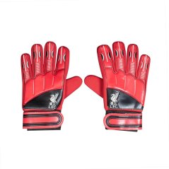 Team Hypro Delta Goalkeeper Gloves Liverpool