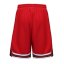 Everlast Basketball Short Mens Red