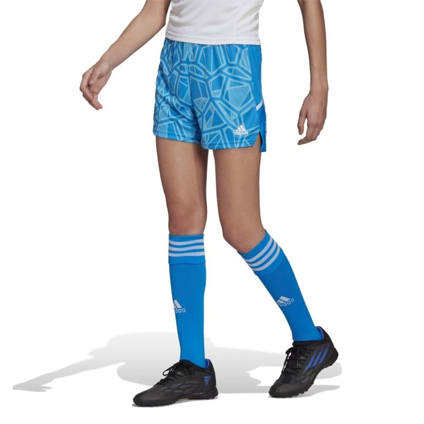 adidas Men's Long-Sleeve Goalkeeper Top Blue