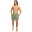 Quiksilver Everyday Volley Swim Shorts Four Leaf