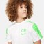 Nike Academy Player Edition:CR7 Big Kids' Dri-FIT Short-Sleeve Top White/Green
